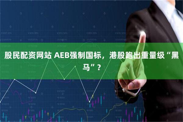 股民配资网站 AEB强制国标，港股跑出重量级“黑马”？
