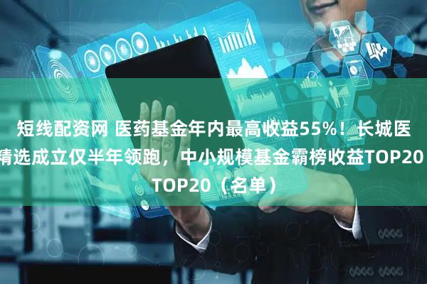 短线配资网 医药基金年内最高收益55%！长城医药产业精选成立仅半年领跑，中小规模基金霸榜收益TOP20（名单）