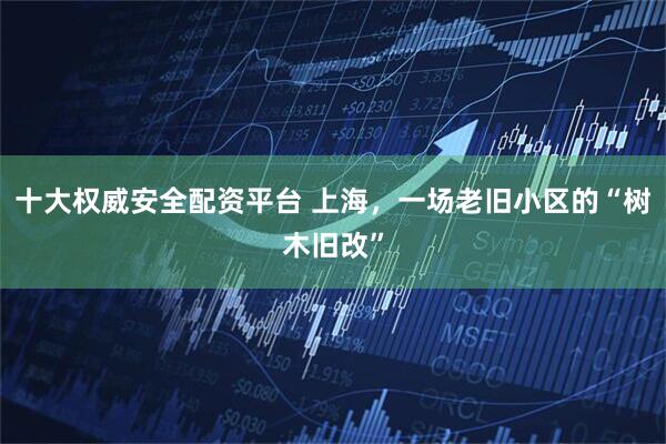 十大权威安全配资平台 上海，一场老旧小区的“树木旧改”