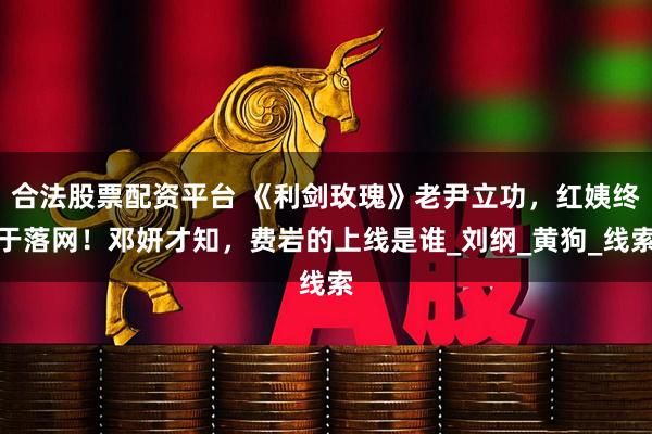 合法股票配资平台 《利剑玫瑰》老尹立功，红姨终于落网！邓妍才知，费岩的上线是谁_刘纲_黄狗_线索